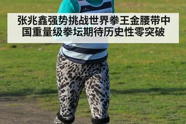 张兆鑫强势挑战世界拳王金腰带中国重量级拳坛期待历史性零突破